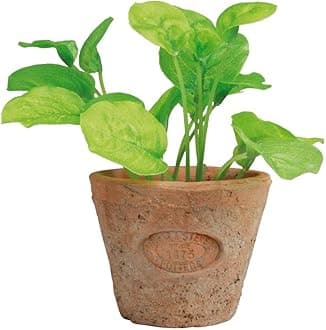 Artificial Herb Plant, Basil, Small