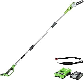 Greenworks G24PS20K2 Cordless long reach Pole Saw (Great for Pruning and Trimming Branches), 8 Inch (20cm) Bar Length, 6.7m/s Chain Speed, light weight, 2.6m Pole Reach, 24V 2Ah Battery & Charger