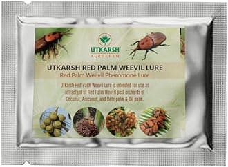 - Utkarsh Red Palm Weevil Rhynchophorus Ferrugineus Pheromone Lure for Catching Insects of Red Palm Weevil in Coconut Palm, Date Palm, Oil Palm & Areca Nut Palm with RPW Magnet - 20 Lures