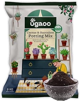 UGAOO Cactus & Succulents Soil Mix - 5kg | Well-Draining, Aerated Cactus Soil Mix for Strong Root Growth