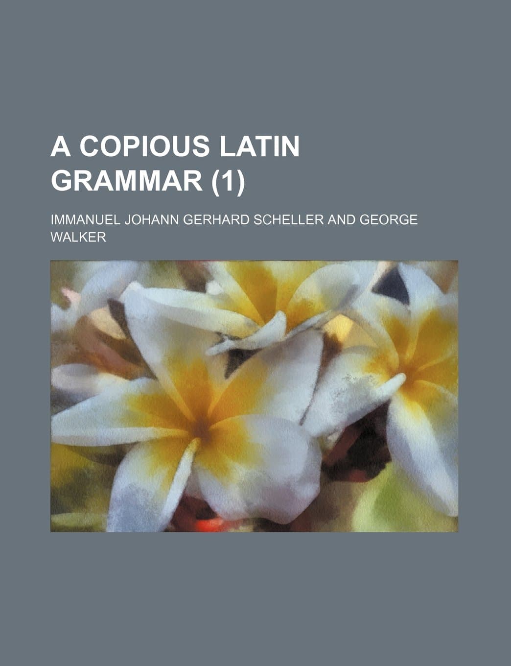 A Copious Latin Grammar (1)