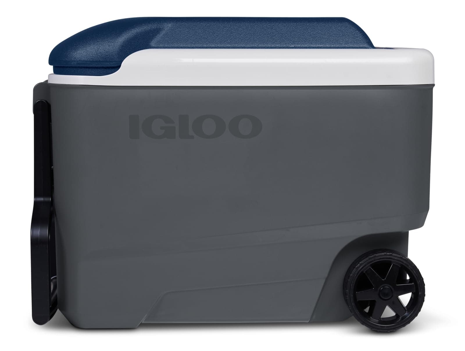 Igloo