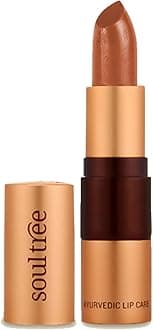 SoulTree Ayurvedic Lipstick - Rusty Cinnamon 840, 4gm