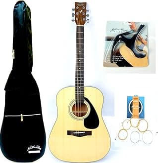 Mike Music 41 inch 6-Strings Acoustic Guitar With Bag and Capo and Extra strings set (41 inch glossy, natural)