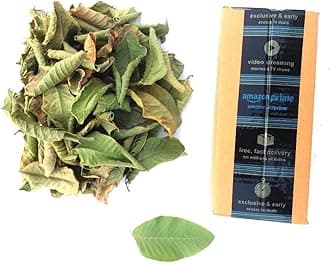 Li6 ®™ Pure Dry Guava Leaves 100 Grams - Payara, Peroo, Pijuli, Jam Phal, Amrood Ke Ped Ki Sukhi Patti, Patte, Patta - Guava Dried Leaf
