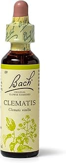 Bach Original Flower Remedies Clematis, Live The Day, Be Focused, Emotional Wellness, Natural Flower Essence, 20ml