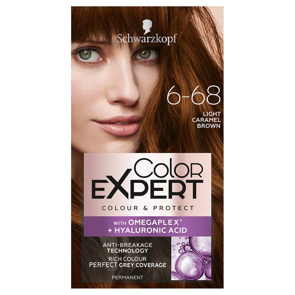 6-68 Light Caramel Brown