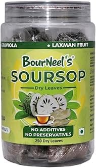 BourNeel's® Soursop Dry Leaves, 250 Loose Leaves | No Preservatives | Healthy Graviola Laxman Phal Dry Leaves | High Vitamin C |Soursop Kadha Tea |