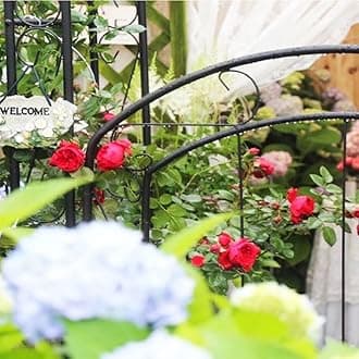 Steel Garden Arch with Gate, Garden Arbor for Various Climbing Plant, Metal Archway Trellis Pergola for Outdoor Garden Lawn Backyard Easy-to-Assemble Stereoscopic Garden Decorations