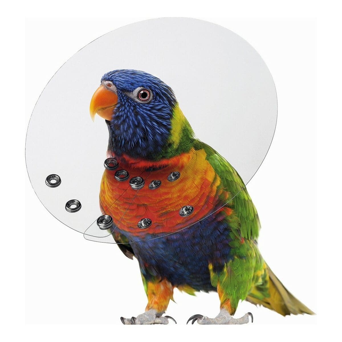 KVP Bird E-Collar, 3.5-4"/10"