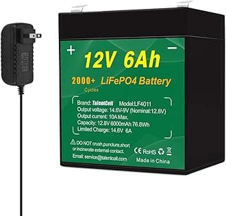 Talentcell 12V 6Ah LiFePO4 Battery Pack LF4011, 2000 Cycles Rechargeable 12.8V 76.8Wh Lithium Iron Phosphate Battery for LED Strip, Camping, Fish Finder, Security System, Ride Toys, Small Backup UPS