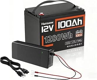 12V 100Ah LiFePO4 Battery Group 24-100A BMS with Low Temp Cutoff | 15000+ Deep Cycles for RV Solar Marine | Off-Grid Backup Power Rechargeable Lithium Iron Phosphate Battery, Incl. 14.6V 20A Charger