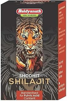 Baidyanath Asli Ayurved Shilajit - 30 Capsules | Ayurvedic Supplement For Men