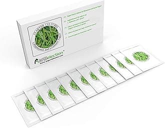 Yogurt Starter Cultures - Pack of 12 Freeze-Dried Sachets for Lactobacillus Rhamnosus and L.Gasseri Yogurt (12 sachets Pack)