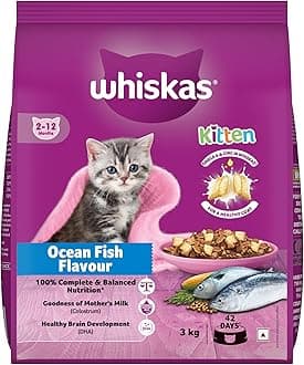 Junior Mother Cat & Kitten (2-12 Months) Dry Cat Food, Ocean Fish Flavour, 3kg, Contains 41 Essential Nutrients, Complete & Balanced Nutrition for Mother Cats & Kittens