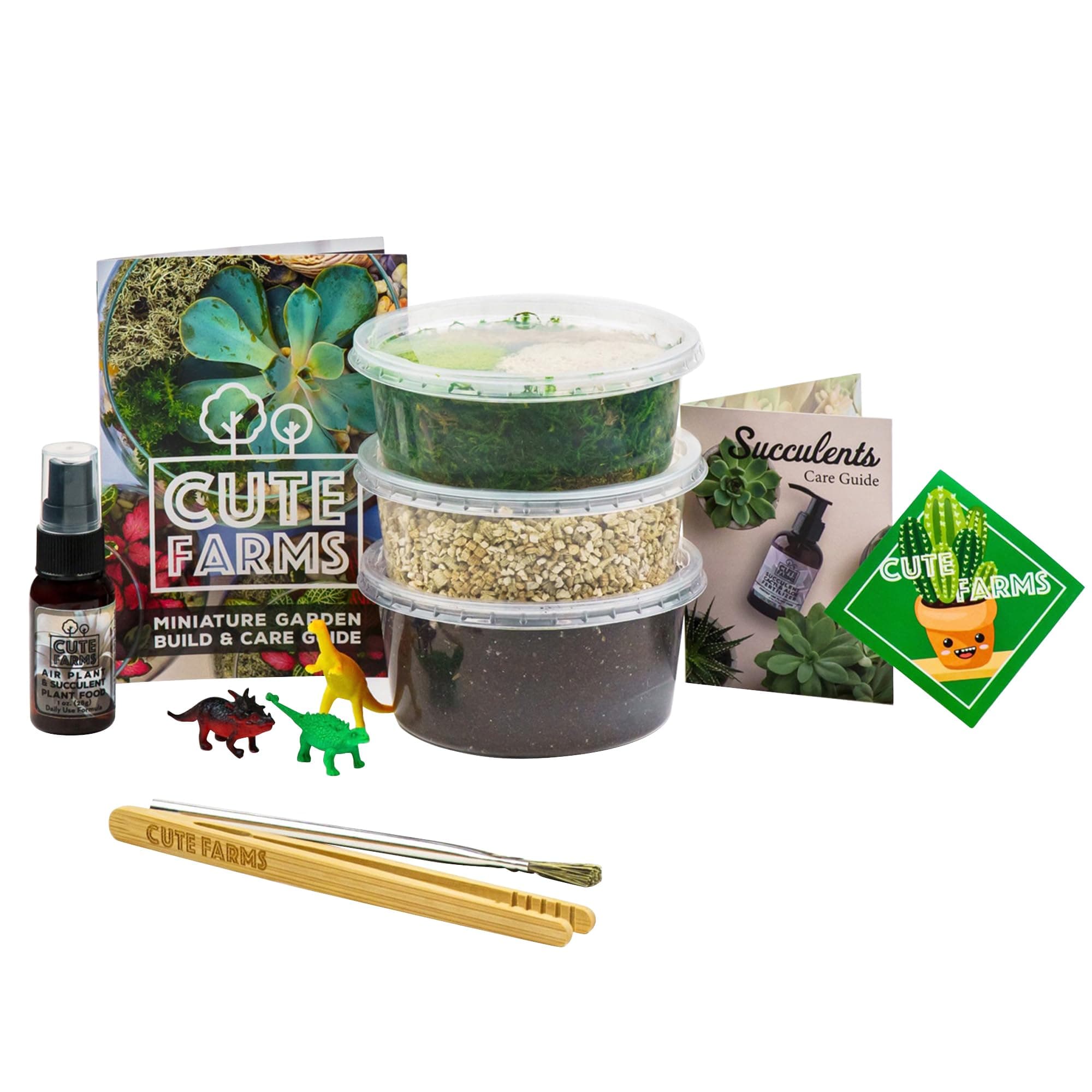 Small Terrarium Kit