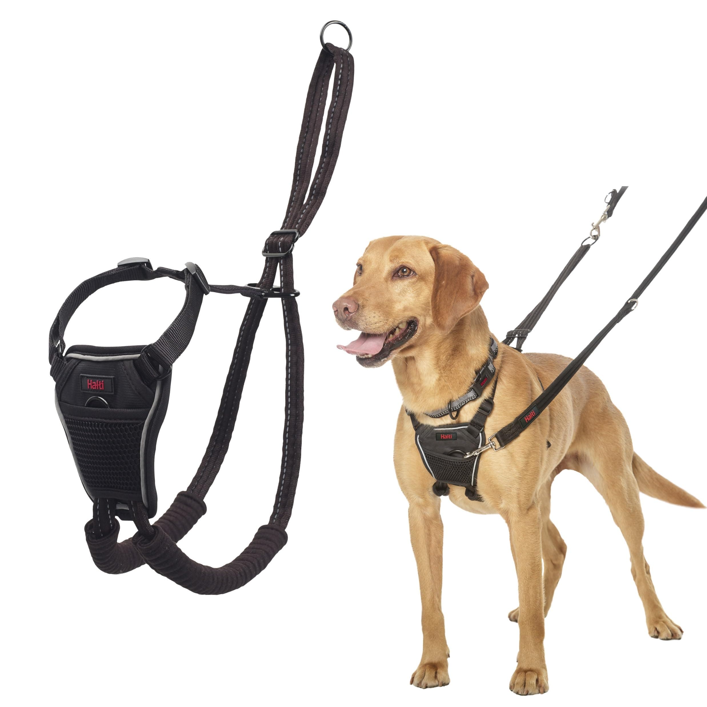 No Pull Harness - Stop Your Dog Pulling on the Leash. Adjustable, Lightweight and Easy to Use. Reflective Dog Training Harness for Medium Dogs (Size M, Black)
