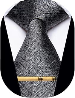 Men's Neckties Striped Tie and Plaid Neckties for Men Woven Silk Tie Gold Tie Clip Set