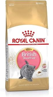 Royal Canin Kitten Food - British Shorthair Complete Food 10Kg
