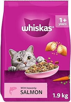 WHISKAS Adult Dry Cat Food 1.9kg with Salmon (Pack of 4)