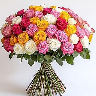 GlobalRose Fresh Cut Assorted Roses - 100 Roses (4 Bundles of 25) Fresh Bouquet for Birthday, Anniversary, Women's Day, or Home Decor - Flowers Delivery Gift