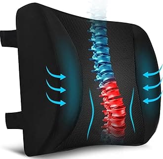 Niceeday Lumbar Support Pillow for Office Chair Car, Gaming Chair Lower Back Pain Relief Memory Foam Cushion with 3D Mesh Cover Ergonomic Orthopedic Back Rest Lower Back Support