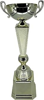 Express Medals Various Styles of Award Trophy Cups Trophies Prize Gift Champion Winner 1st Place