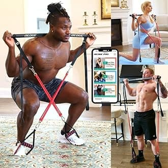 Complete Portable Full Body Home Gym Park Workout Set I Best Gift for Christmas I Resistance Bands for Beginners to Elite Athletes I Train Insane (with Free app)