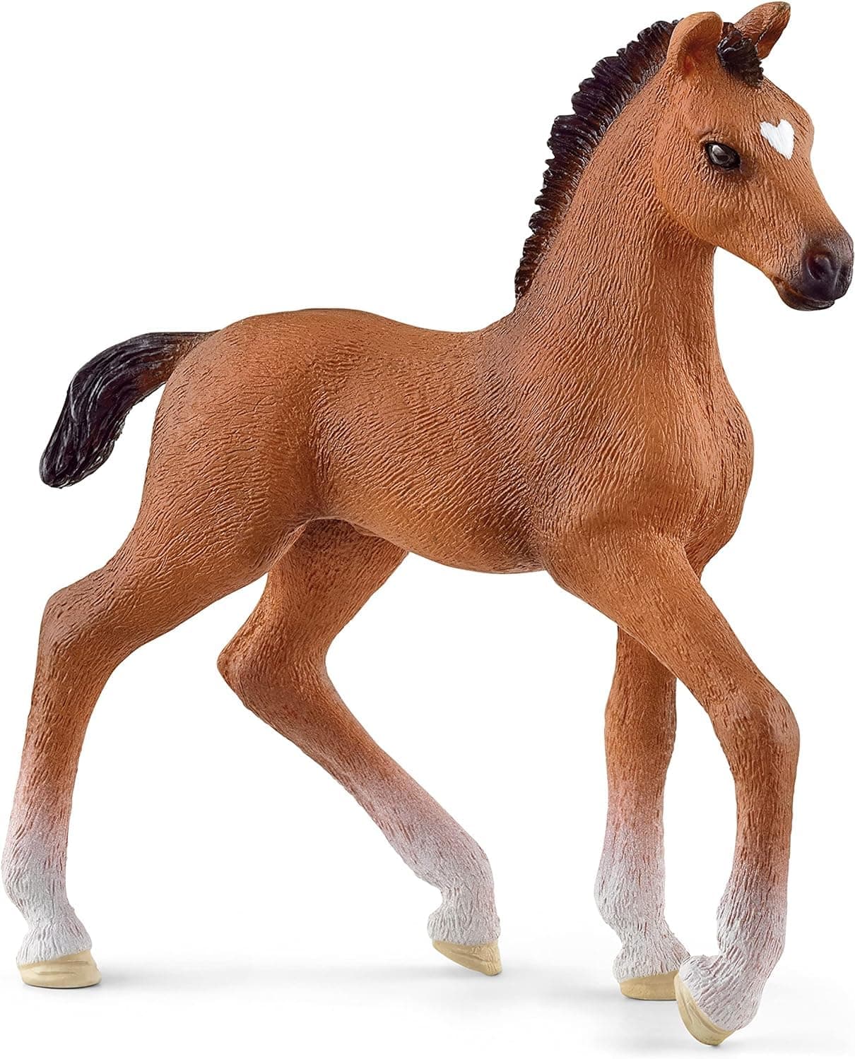 Oldenburger Foal