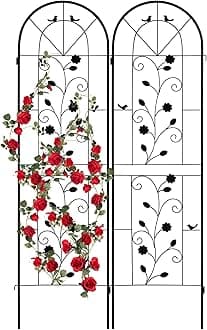 LZRS 2 Pack Rustic Iron Arch Decoration Garden Trellis with Black Metal Coating – Perfect for Supporting Climbing Plants Outdoor, Roses, Vines, Flowers, and Vegetables.