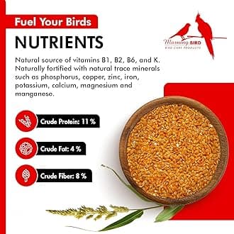 Morning Bird Red Proso Millet Bird Seeds 18 lbs (2-Pack, 9 lbs Each) – Healthy & Nutritious Pet Bird Food - Bird Seeds for Feather Growth – Perfect for Finches, Parakeets & Other All Pet Birds