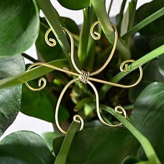 5PCS Monstera Plant Stem Support Stakes - 5.5 * 5.5IN Metal Supports for Monstera and Fishbone Cactus, Sturdy Frame, Easy Installation, Flexible Protection for Healthy Growth Indoors