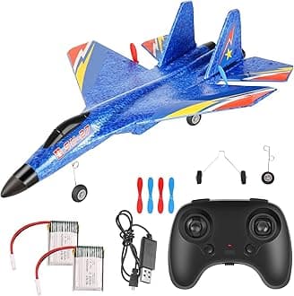 RC Plane, Remote Control 2CH 2.4GHz F22 Fighter Jet Toy, Foam RC Aeroplane with Lights, 6-Axis Gyroscope, for Children (3+), Unisex