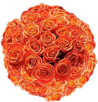 GlobalRose 150 Orange Roses Bouquet - Responsibly Sourced Roses Fresh Flowers - Hand-Picked Flowers Fresh Bouquet for Graduation, Anniversary, Birthday & Special Occasions (6 Bunches of 25 Stems)