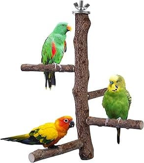 Bird Perch Stand Toy, Natural Wood Parrot Perch Bird Cage Branch Perch Accessories for Parakeets Cockatiels Conures Macaws Finches Love Birds (M: 10" Length)