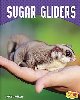 Sugar Gliders (Cute and Unusual Pets)