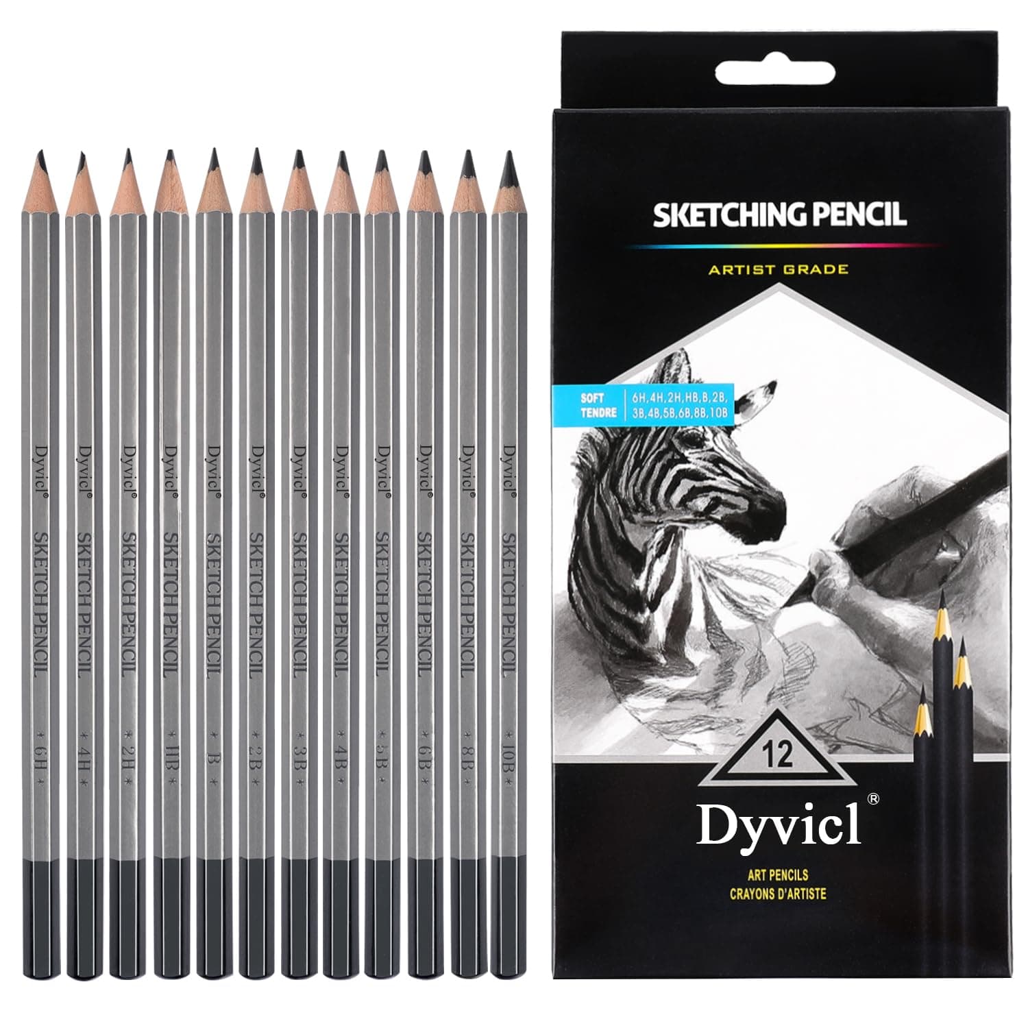 Professional Drawing Sketching Pencil Set - 12 Pieces Drawing Pencils 10B, 8B, 6B, 5B, 4B, 3B, 2B, B, HB, 2H, 4H, 6H Graphite Pencils for Kids, Beginners, Pro Artists