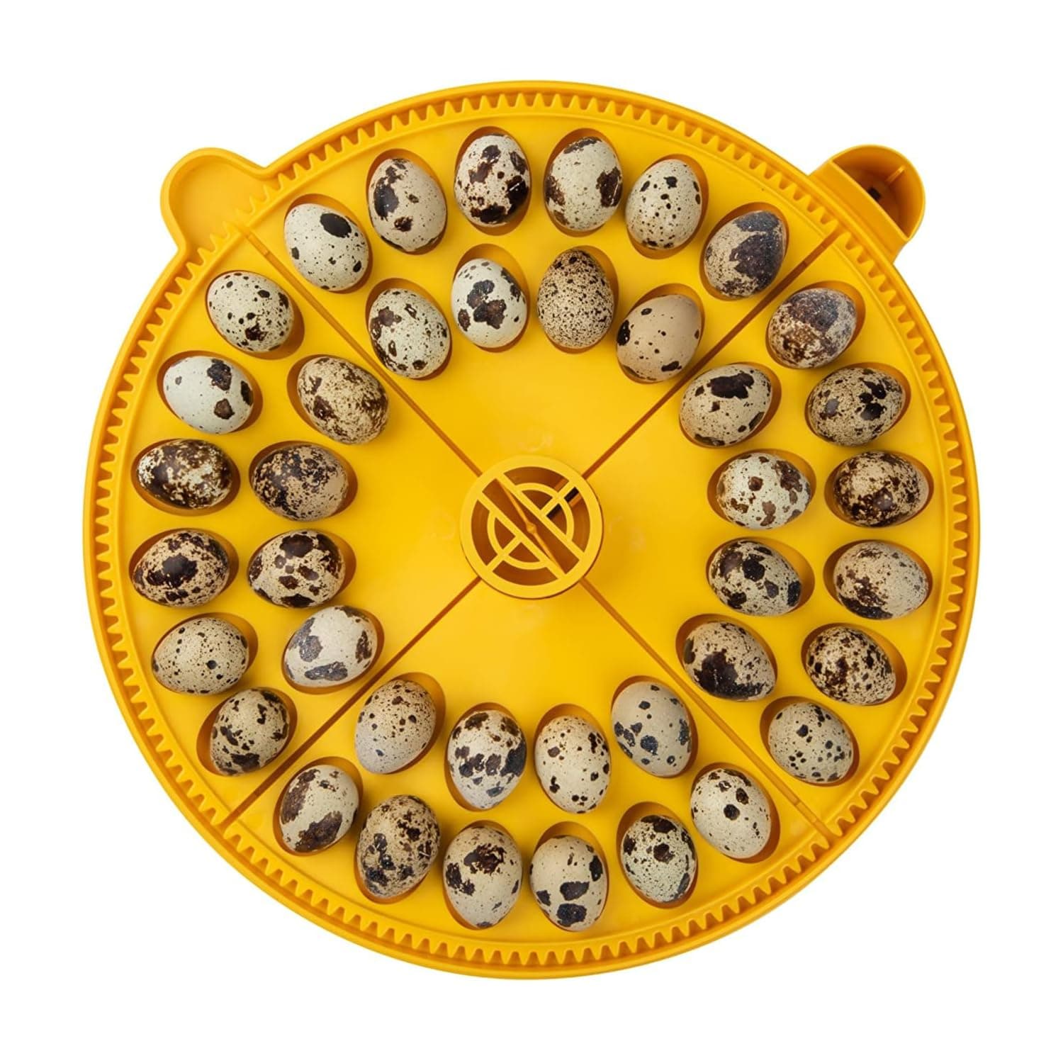 Small Egg Quadrant Insert for Maxi Advance Incubator System, Fits 40 Pheasant or Quail-Size Eggs