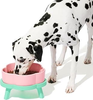 Elevated Dog Bowls Large, 64OZ Ceramic Raised Dog Bowl with Bamboo Stand, Flower-Shaped Food Water Bowl, Pet Feeding Dish Bowls for Medium/Large Dogs and Cats