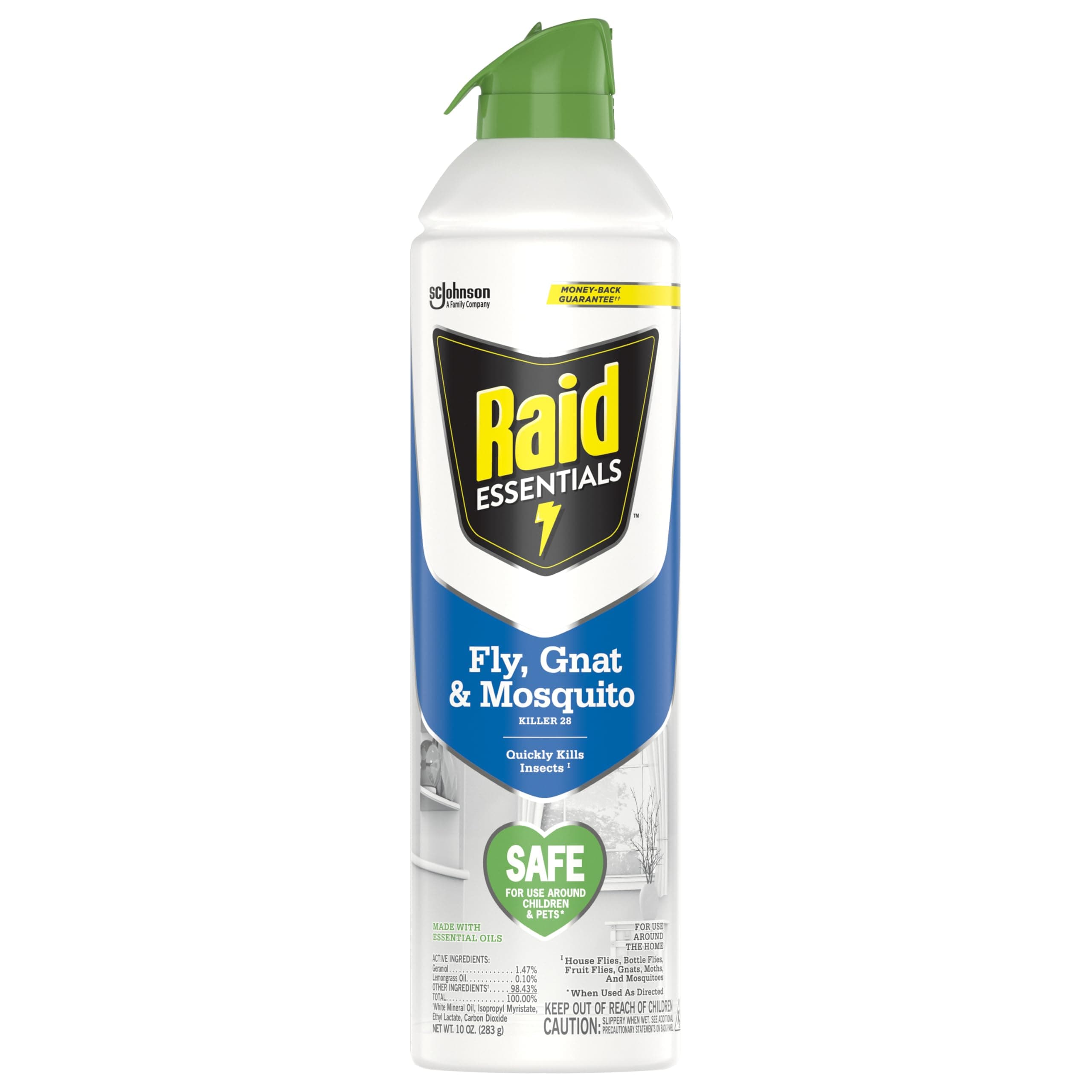 Raid Essentials Fly, Gnat, and Mosquito Killer Aerosol Spray, Safe for Use Around Children and Pets, 10 oz