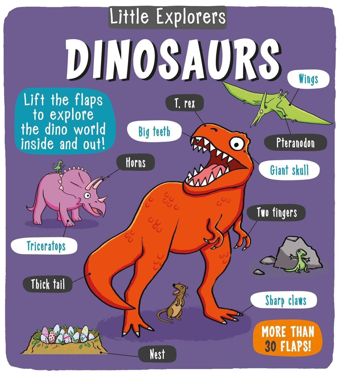 Little Explorers: Dinosaurs