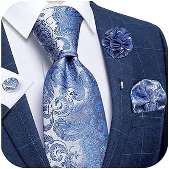 DiBanGu Silk Ties for Men Necktie and Lapel Pin Brooch Set Formal Woven Paisley Plaid Striped Solid Tie Wedding Party
