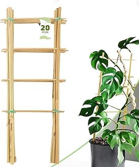 Avalution 20 Pack Bamboo Trellis for Climbing Plants Indoor, 16 Inch Garden Ladder Trellis for Potted Plants, Fan-Shaped Small Plant Support Trellis for Houseplants Ivy Hoya Vine Monstera