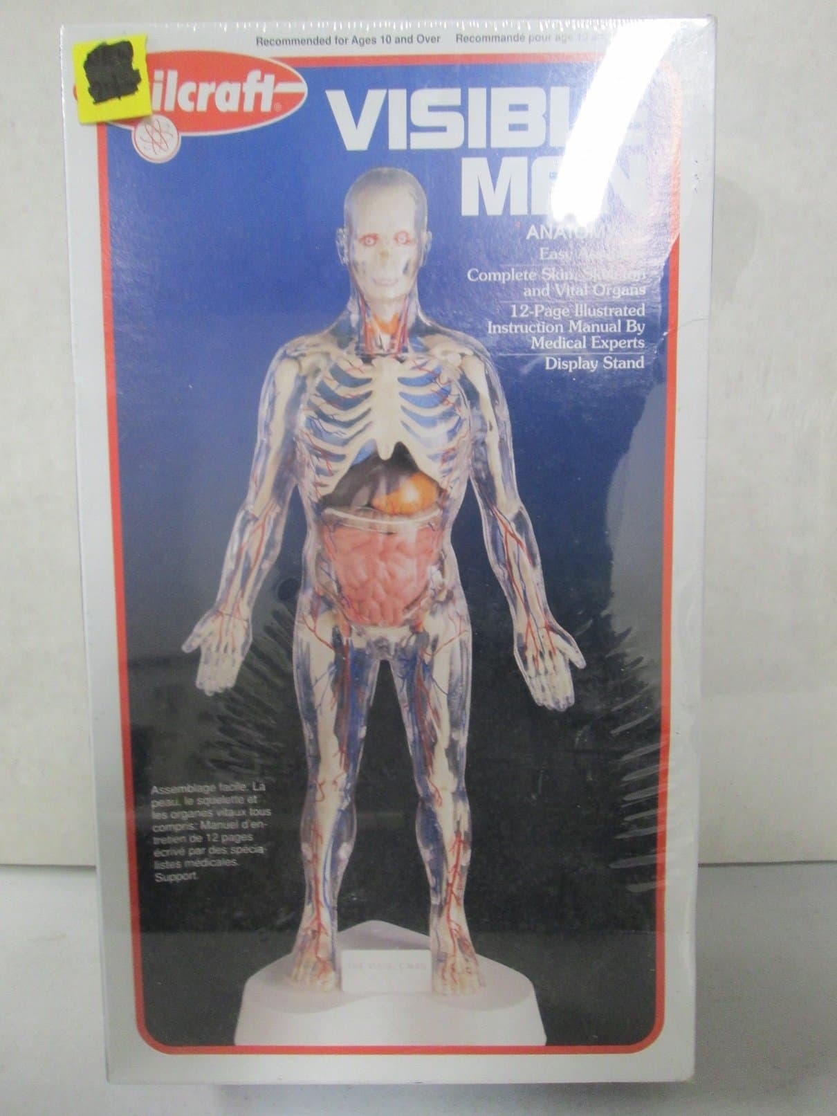 Skillcraft Visible Man Anatomy Model Kit