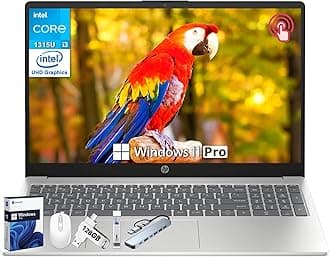 HP 15.6" Touchscreen Laptop for Student & Business, Microsoft Office Lifetime License, Intel 13th Gen Core i3-1315U, 16 GB RAM, 1 TB SSD, Intel UHD Graphics, Fast Charge, HD Camera, Windows 11 Pro