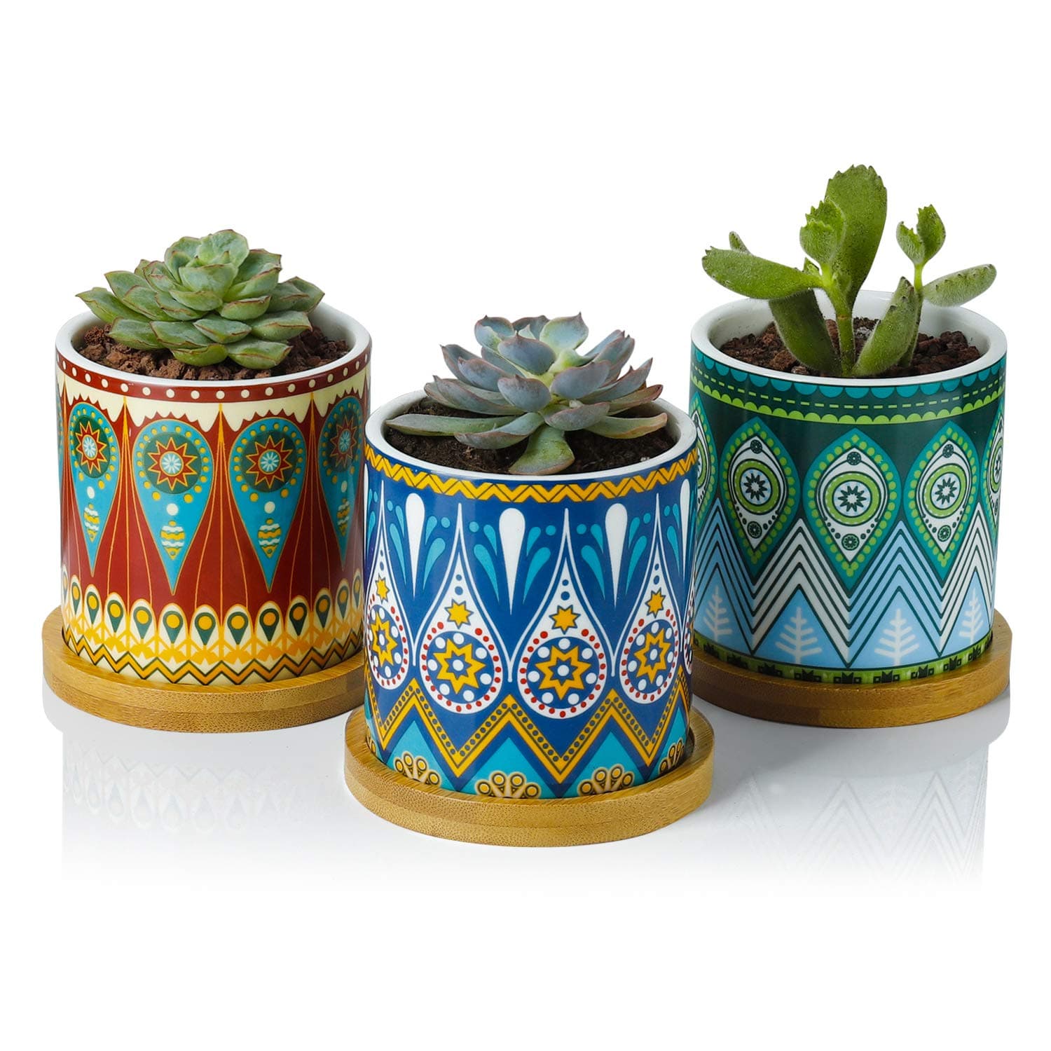 Succulent Pots