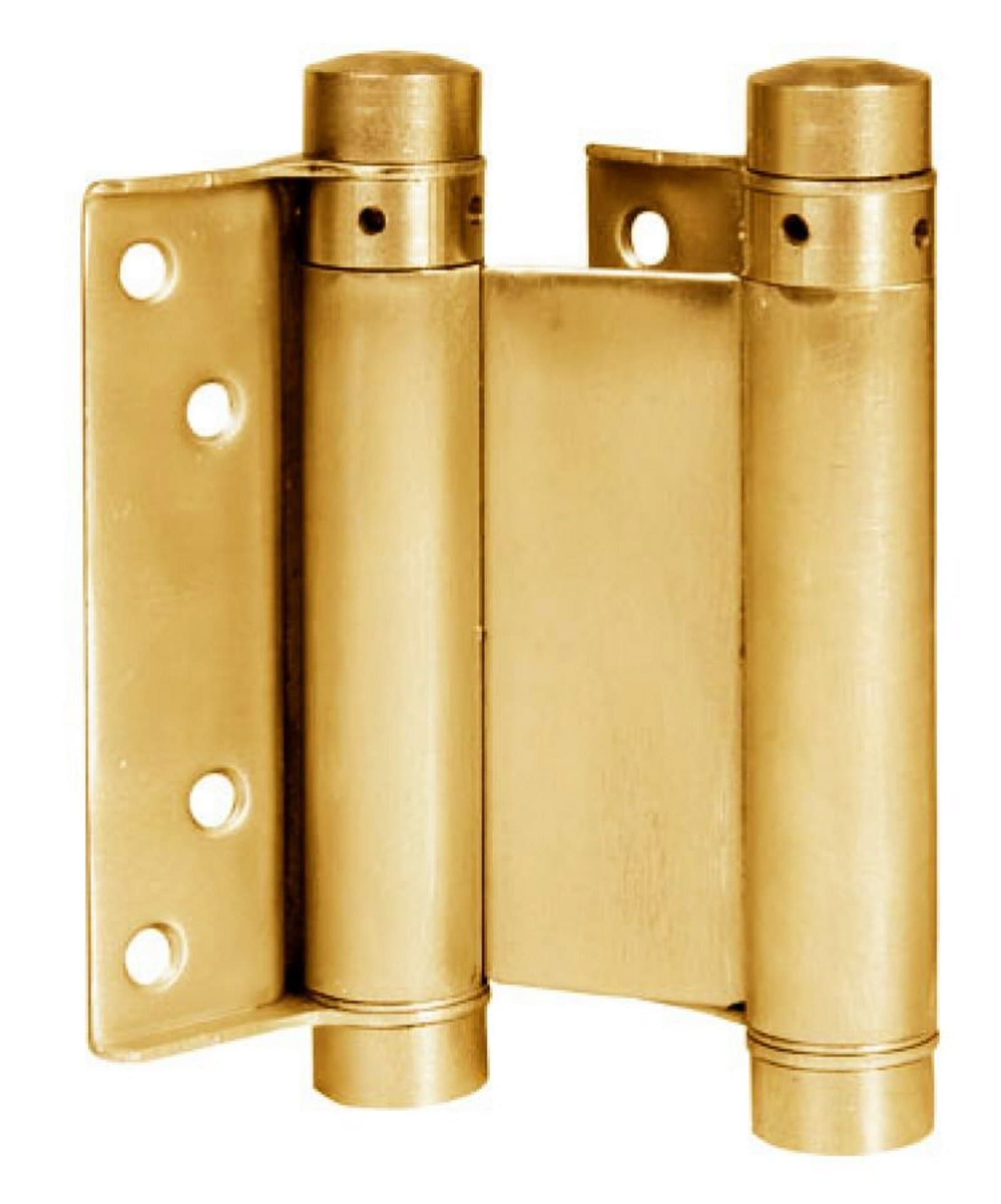 'Bommer' Double Action Spring Hinge. Steel.