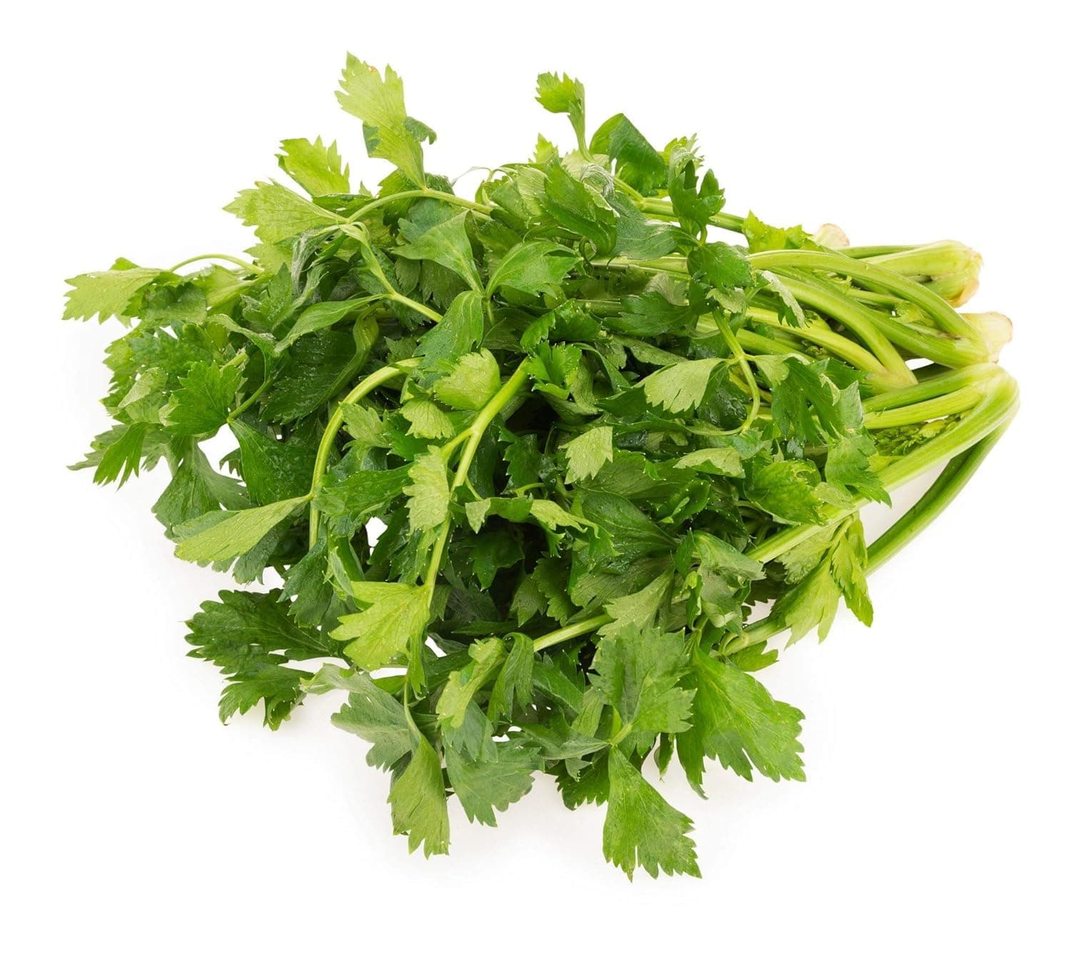 Fresh Parsley, 100g