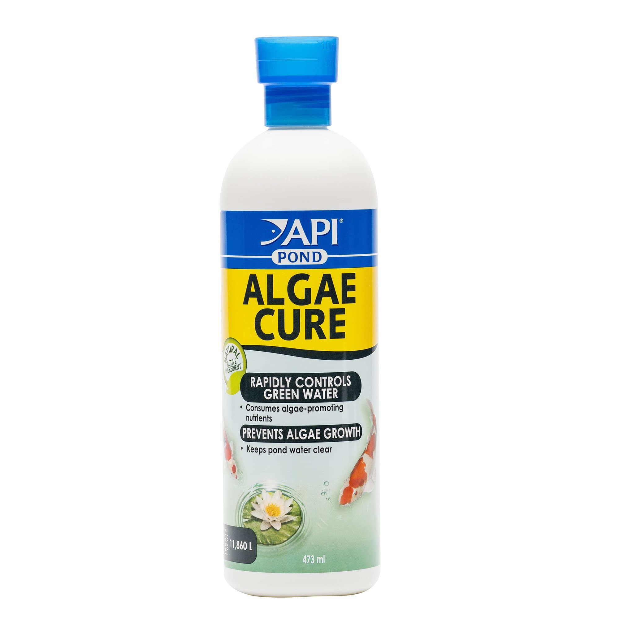 API POND ALGAE CURE