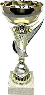 Express Medals 9.75 Inch Gold and Silver Trophy Cup - Event, Sport Tournaments, Competitions, Recognition Gift or Award, 9.75 Inches Tall x 3.9 Inches Wide. AMC335-C